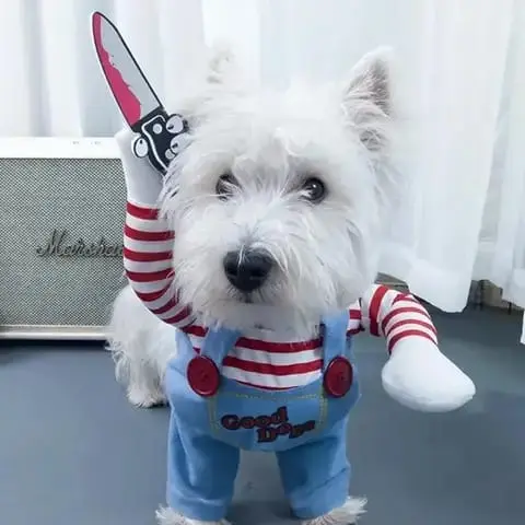 Traje/ropa de chucky