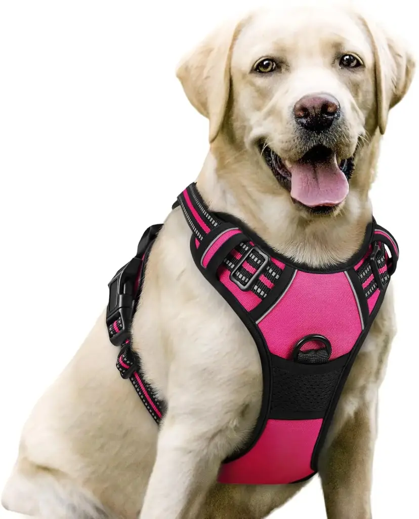 Arnés para perro  talla XL