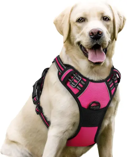 [8435335646937] Arnés para perro  talla XL
